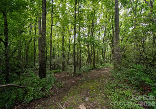 Homes for sale in Hendersonville, NC | 83 Waterstone Dr #46, Hendersonville, NC 28792 | MLS# 4265658
