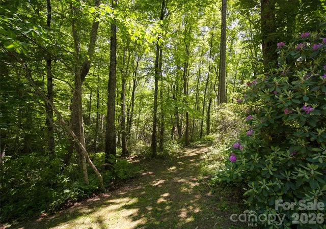 Homes for sale in Hendersonville, NC | 83 Waterstone Dr #46, Hendersonville, NC 28792 | MLS# 4265658