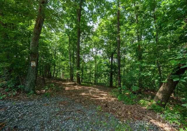 Photo 1 of Land for sale at 00 Hendren Rd, Moravian Falls, NC 28654 | MLS# 4266109 | Listing updated on 2026-07-29
