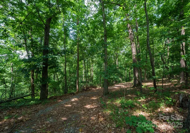 Photo 2 of Land for sale at 00 Hendren Rd, Moravian Falls, NC 28654 | MLS# 4266109 | Listing updated on 2026-07-29