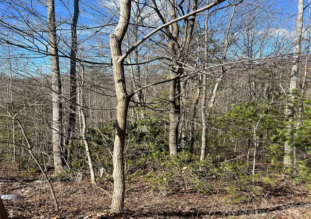 Photo 3 of Land for sale at Lot# 130 Terra Vista Dr, Lenoir, NC 28645 | MLS# 4266275 | Listing updated on 2026-08-13
