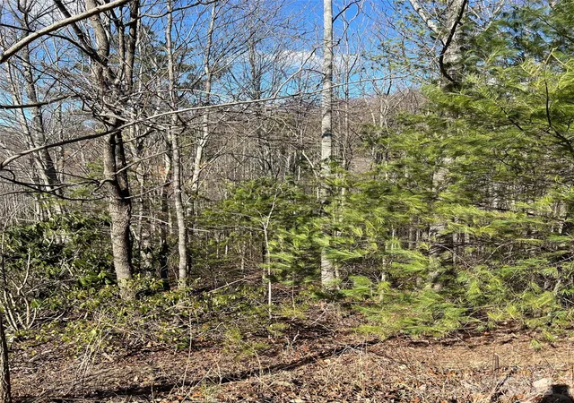 Photo 4 of Land for sale at Lot# 130 Terra Vista Dr, Lenoir, NC 28645 | MLS# 4266275 | Listing updated on 2026-08-13