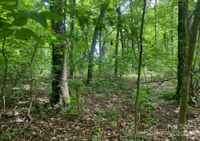 3rd image of 129 High Cliffs Trl, Black Mountain, NC 28711 | MLS# 4266672