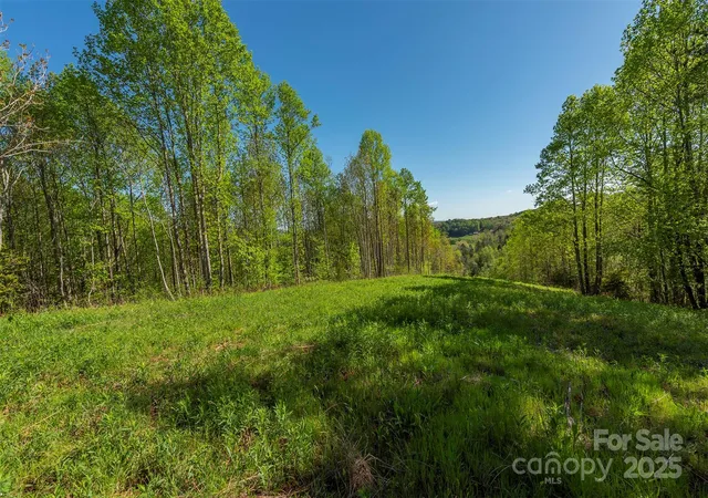 Photo 3 of Land for sale at 000 Thousand Oaks Dr, Marion, NC 28752 | MLS# 4268096 | Listing updated on 2026-07-24