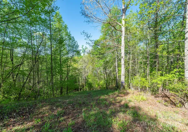 Photo 4 of Land for sale at 000 Thousand Oaks Dr, Marion, NC 28752 | MLS# 4268096 | Listing updated on 2026-07-24