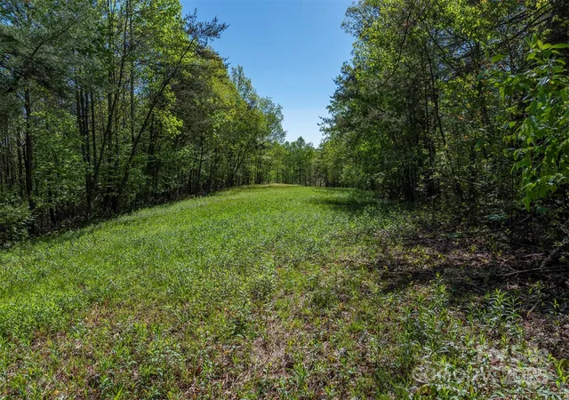 Photo 5 of Land for sale at 000 Thousand Oaks Dr, Marion, NC 28752 | MLS# 4268096 | Listing updated on 2026-07-24