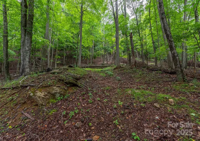 Homes for sale in Burnsville, NC | 25 Hickory Springs Rd #25, Burnsville, NC 28714 | MLS# 4268311