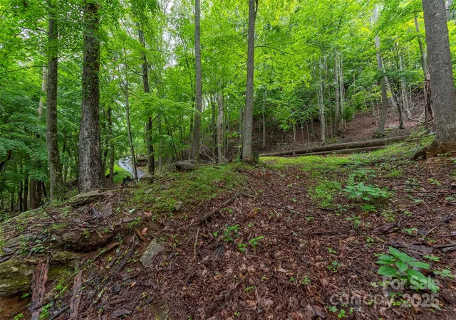 Homes for sale in Burnsville, NC | 25 Hickory Springs Rd #25, Burnsville, NC 28714 | MLS# 4268311