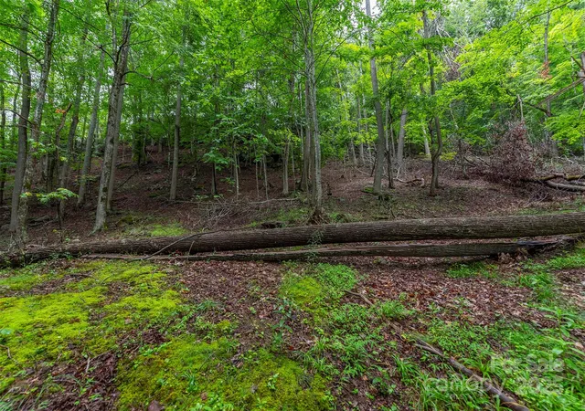 Homes for sale in Burnsville, NC | 25 Hickory Springs Rd #25, Burnsville, NC 28714 | MLS# 4268311