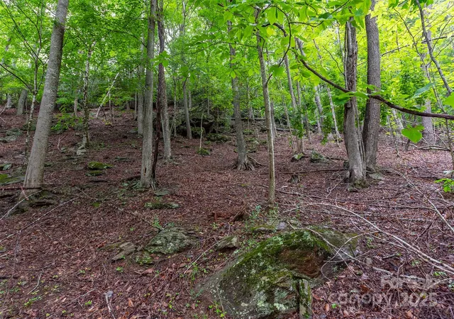 Homes for sale in Burnsville, NC | 25 Hickory Springs Rd #25, Burnsville, NC 28714 | MLS# 4268311