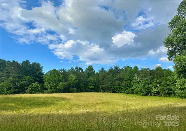 1st image of 99999 Jenkins Valley Rd, Alexander, NC 28701 | MLS# 4268704
