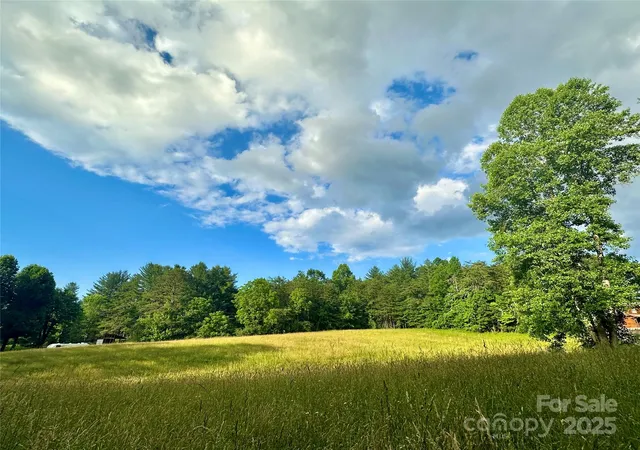 2nd image of 99999 Jenkins Valley Rd, Alexander, NC 28701 | MLS# 4268704