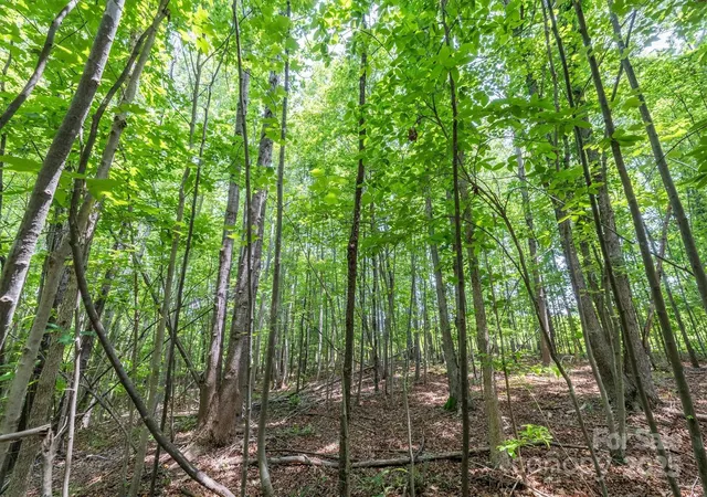 17th image of Tbd Catawba Valley Blvd Se #7-31, Hickory, NC 28602 | MLS# 4268842