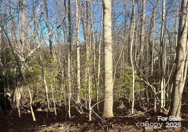 Photo 3 of Land for sale at 129 Pinnacle Peak Ln, Flat Rock, NC 28731 | MLS# 4269358 | Listing updated on 2026-03-09