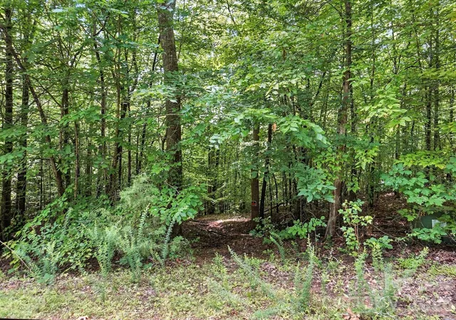 Homes for sale in Iron Station, NC | 6 Hager Mountain Ln, Iron Station, NC 28080 | MLS# 4269701
