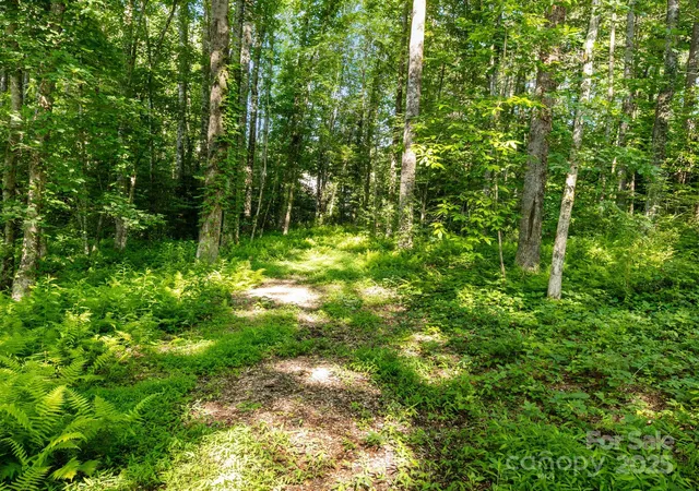 4th image of 000 Old Town Way, Hendersonville, NC 28739 | MLS# 4270496
