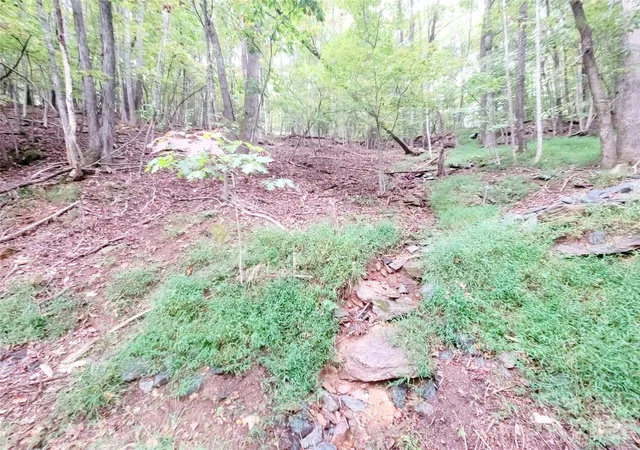 3rd image of 47 Sourwood Dr #197, Mills River, NC 28759 | MLS# 4271181