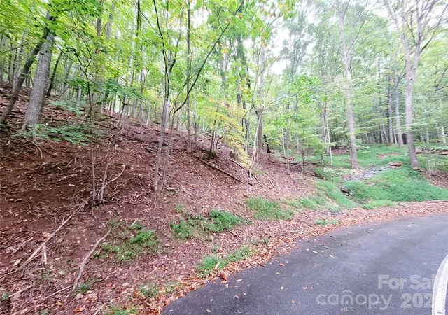 5th image of 47 Sourwood Dr #197, Mills River, NC 28759 | MLS# 4271181