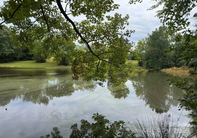 Photo 3 of Land for sale at 357 Pendergrass Rd, York, SC 29745 | MLS# 4271538 | Listing updated on 2026-08-18