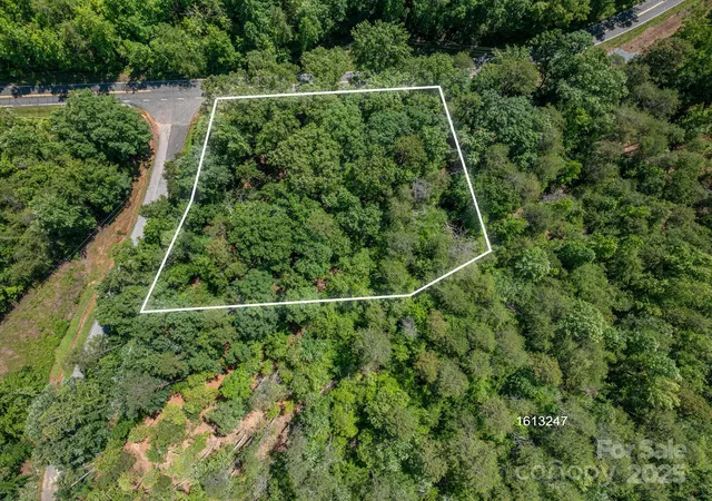 3rd image of Lot #6 Cleghorn Mill Rd, Rutherfordton, NC 28139 | MLS# 4271589