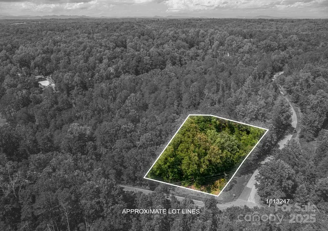 4th image of Lot #6 Cleghorn Mill Rd, Rutherfordton, NC 28139 | MLS# 4271589