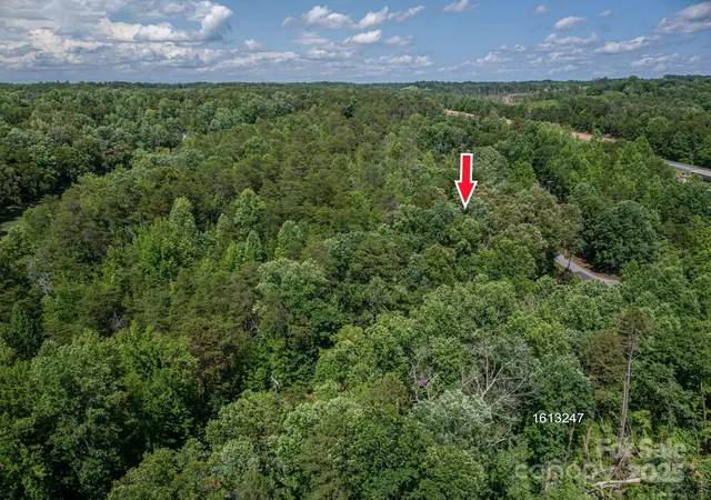 5th image of Lot #6 Cleghorn Mill Rd, Rutherfordton, NC 28139 | MLS# 4271589