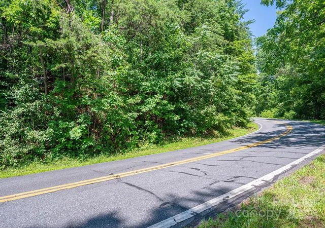 Photo 3 of Land for sale at Lot #69 Cleghorn Ml Rd, Rutherfordton, NC 28139 | MLS# 4271598 | Listing updated on 2026-09-02