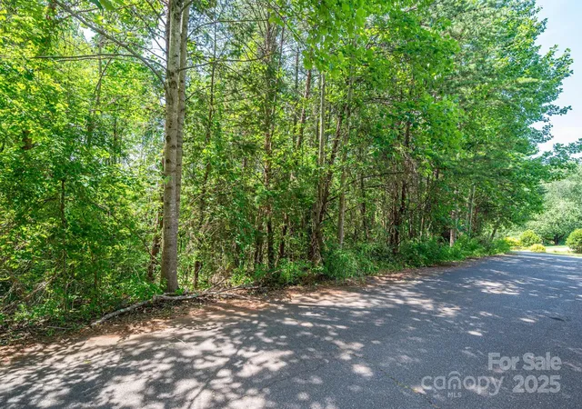 Photo 2 of Land for sale at Lot #24 Deacons Ridge Dr, Rutherfordton, NC 28139 | MLS# 4271605 | Listing updated on 2026-09-21