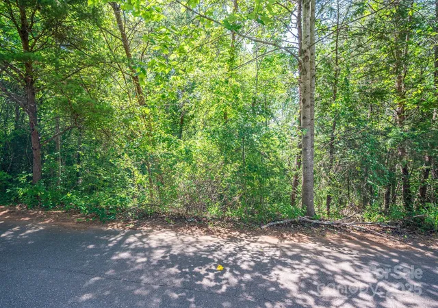 Photo 3 of Land for sale at Lot #24 Deacons Ridge Dr, Rutherfordton, NC 28139 | MLS# 4271605 | Listing updated on 2026-09-21
