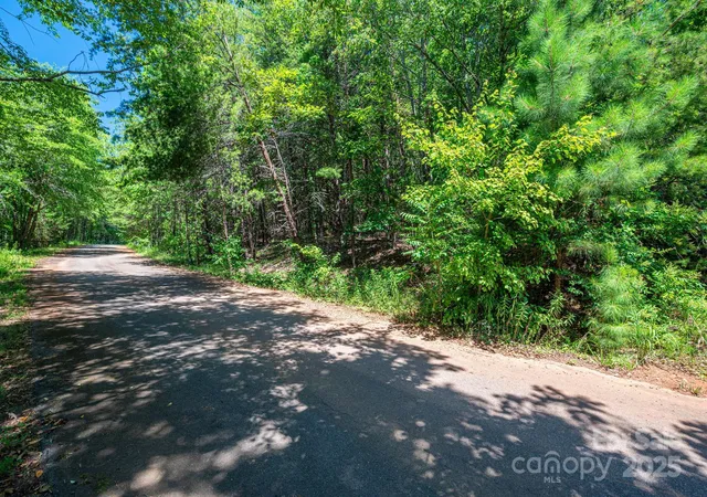 Homes for sale in Rutherfordton, NC | Lot 10 Meadow Crossing Dr, Rutherfordton, NC 28139 | MLS# 4271606