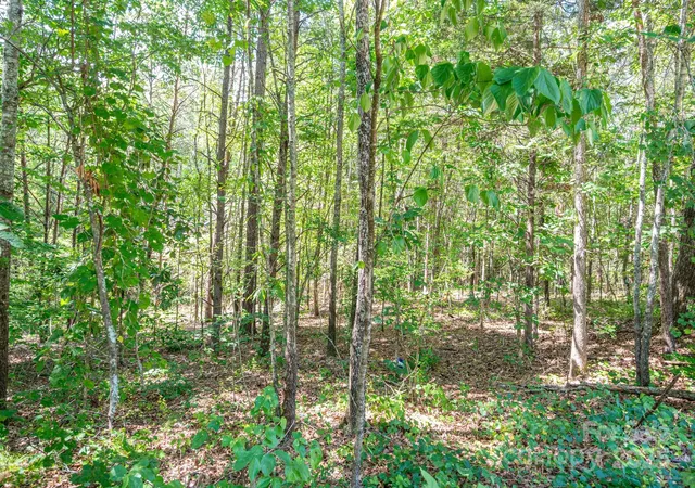 Homes for sale in Rutherfordton, NC | Lot # 16 Meadow Crossing Dr, Rutherfordton, NC 28139 | MLS# 4271615