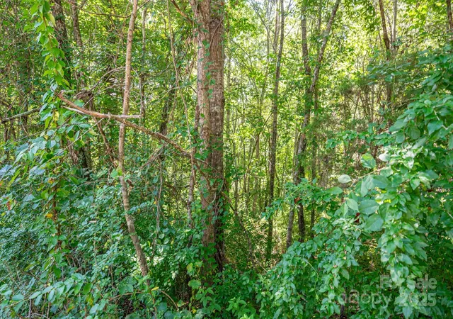 Homes for sale in Rutherfordton, NC | Lot # 16 Meadow Crossing Dr, Rutherfordton, NC 28139 | MLS# 4271615