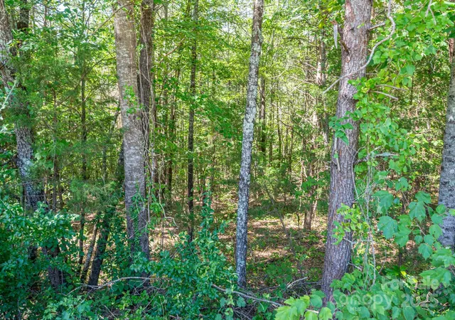 Homes for sale in Rutherfordton, NC | Lot 7 Meadow Crossing Dr, Rutherfordton, NC 28139 | MLS# 4271617