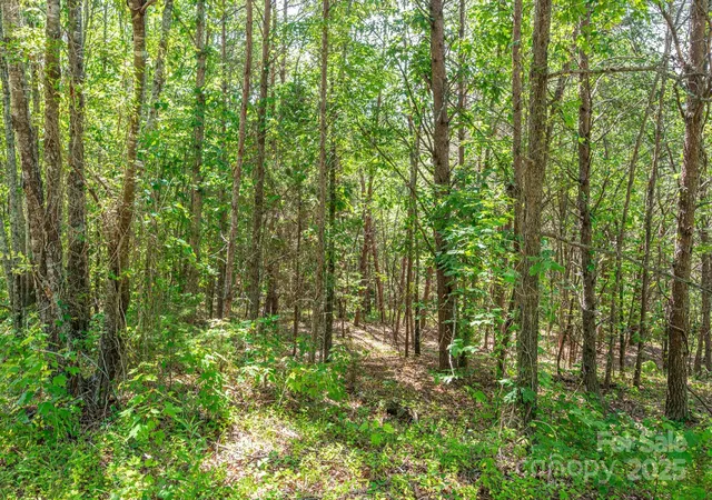 Homes for sale in Rutherfordton, NC | Lot # 15 Meadow Crossing Dr, Rutherfordton, NC 28139 | MLS# 4271619