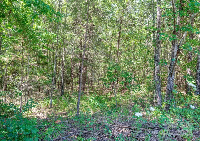 Homes for sale in Rutherfordton, NC | Lot # 15 Meadow Crossing Dr, Rutherfordton, NC 28139 | MLS# 4271619