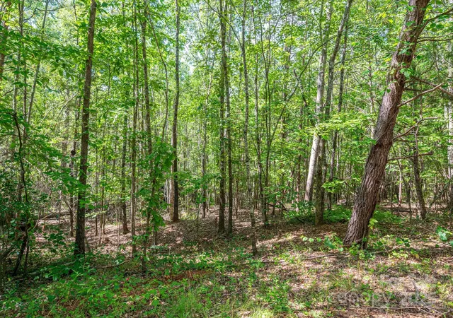 Homes for sale in Rutherfordton, NC | Lot #14 Meadow Crossing Dr, Rutherfordton, NC 28139 | MLS# 4271620