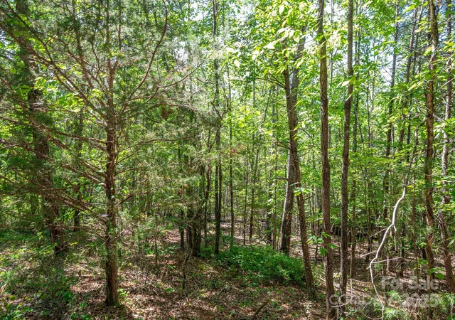 Homes for sale in Rutherfordton, NC | Lot #14 Meadow Crossing Dr, Rutherfordton, NC 28139 | MLS# 4271620