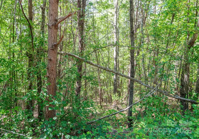 Homes for sale in Rutherfordton, NC | Lot #13 Meadow Crossing Dr, Rutherfordton, NC 28139 | MLS# 4271622