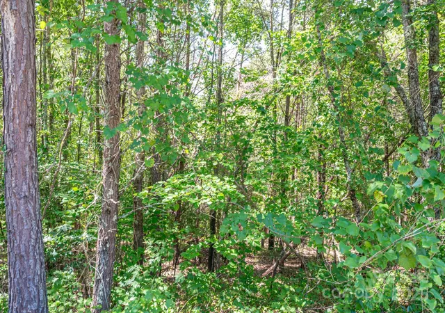 Homes for sale in Rutherfordton, NC | Lot #13 Meadow Crossing Dr, Rutherfordton, NC 28139 | MLS# 4271622