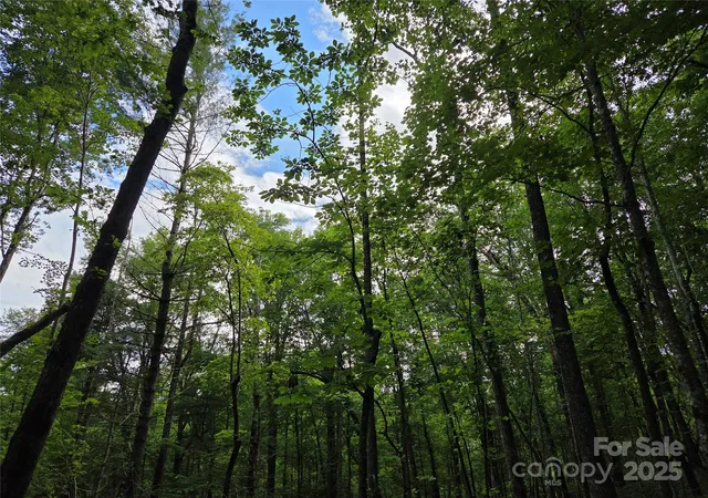 Photo 1 of Land for sale at Tbd Cedar Ln, Brevard, NC 28712 | MLS# 4272166 | Listing updated on 2026-06-29