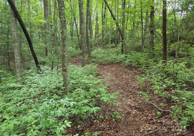 Photo 2 of Land for sale at Tbd Cedar Ln, Brevard, NC 28712 | MLS# 4272166 | Listing updated on 2026-06-29