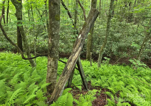 Photo 24 of Land for sale at Tbd Cedar Ln, Brevard, NC 28712 | MLS# 4272166 | Listing updated on 2026-06-29