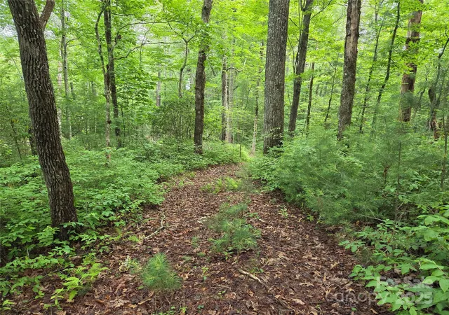 Photo 3 of Land for sale at Tbd Cedar Ln, Brevard, NC 28712 | MLS# 4272166 | Listing updated on 2026-06-29