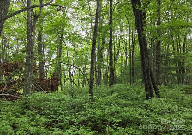 Photo 4 of Land for sale at Tbd Cedar Ln, Brevard, NC 28712 | MLS# 4272166 | Listing updated on 2026-06-29