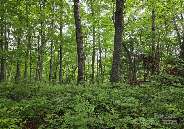 Photo 5 of Land for sale at Tbd Cedar Ln, Brevard, NC 28712 | MLS# 4272166 | Listing updated on 2026-06-29