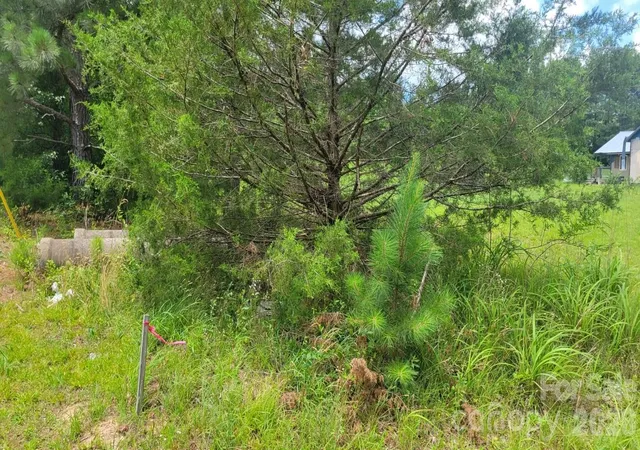 Photo 3 of Land for sale at 000 Riverview Rd, Lincolnton, NC 28092 | MLS# 4272200 | Listing updated on 2026-07-08