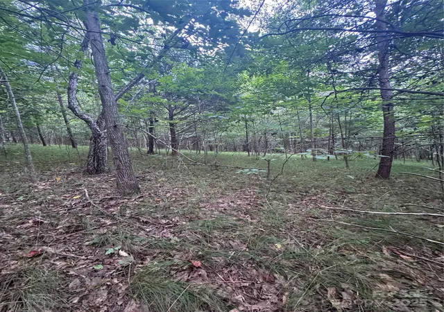 Photo 1 of Land for sale at 0 Cross Crk Dr #67, Rutherfordton, NC 00000 | MLS# 4272789 | Listing updated on 2026-06-19