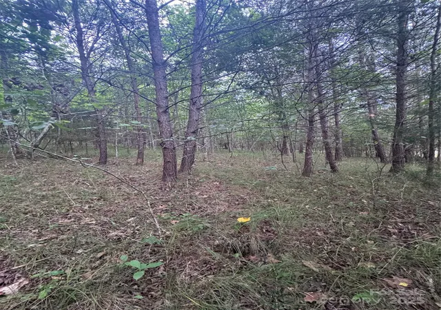 Photo 2 of Land for sale at 0 Cross Crk Dr #67, Rutherfordton, NC 00000 | MLS# 4272789 | Listing updated on 2026-06-19