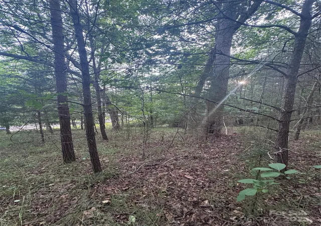 Photo 3 of Land for sale at 0 Cross Crk Dr #67, Rutherfordton, NC 00000 | MLS# 4272789 | Listing updated on 2026-06-19