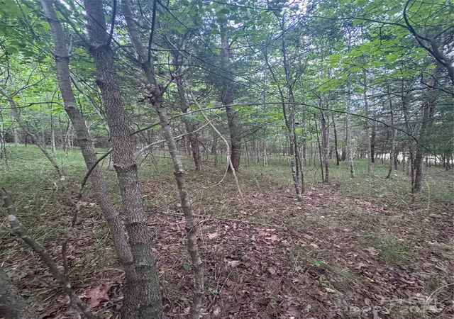 Photo 3 of Land for sale at 0 Cross Crk Dr #67, Rutherfordton, NC 00000 | MLS# 4272789 | Listing updated on 2026-06-19
